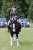 thornton-le-dale-gala showclass7acharity25-5-20197